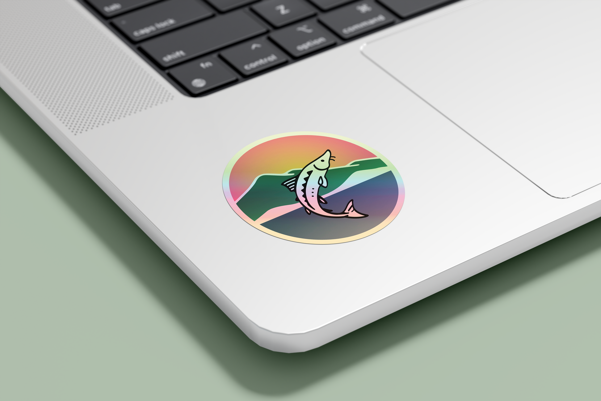 Laptop with a colorful round sticker featuring a sturgeon and mountain design.