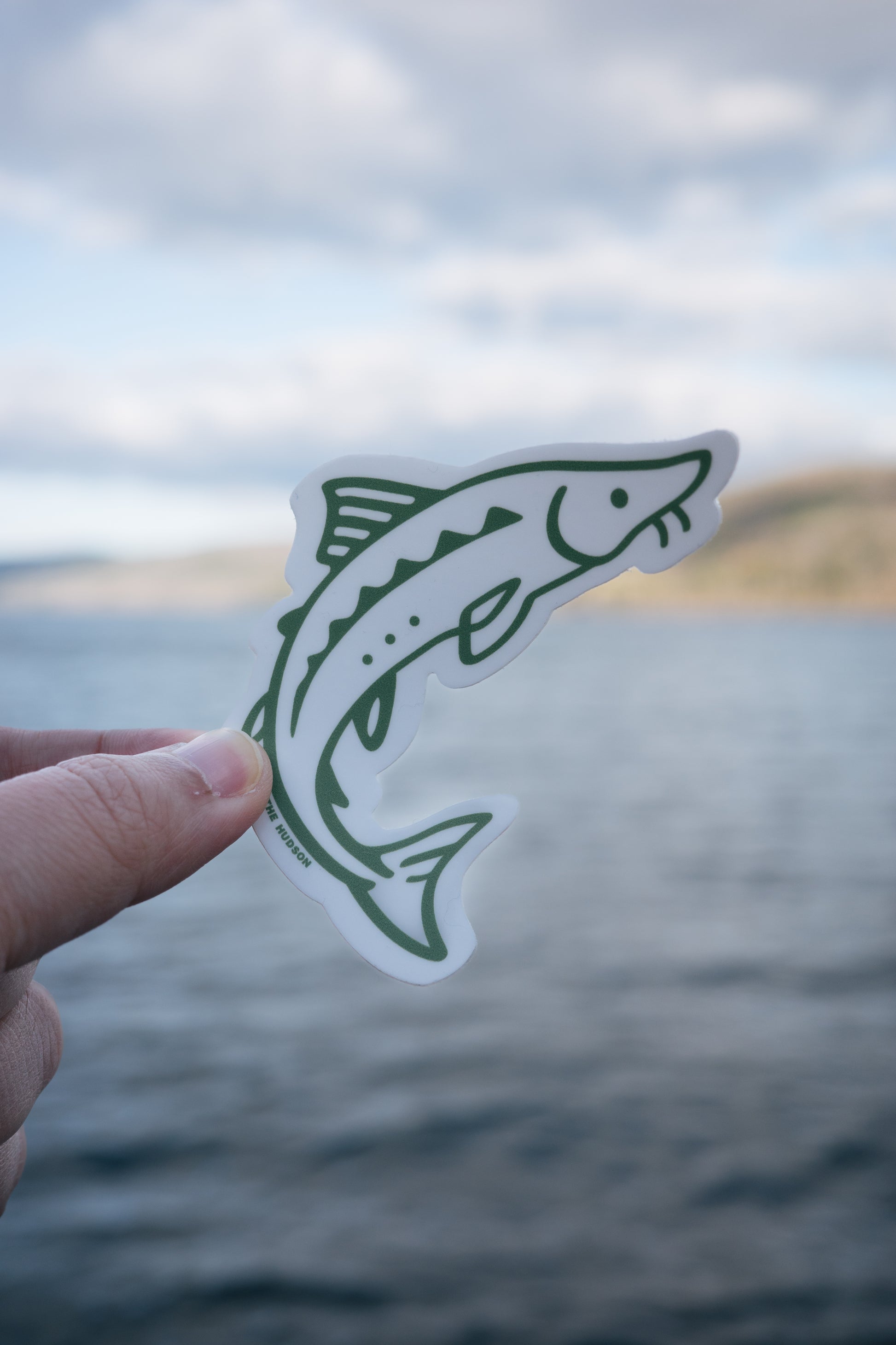 Hand holding a green sturgeon-shaped sticker against a water and sky background