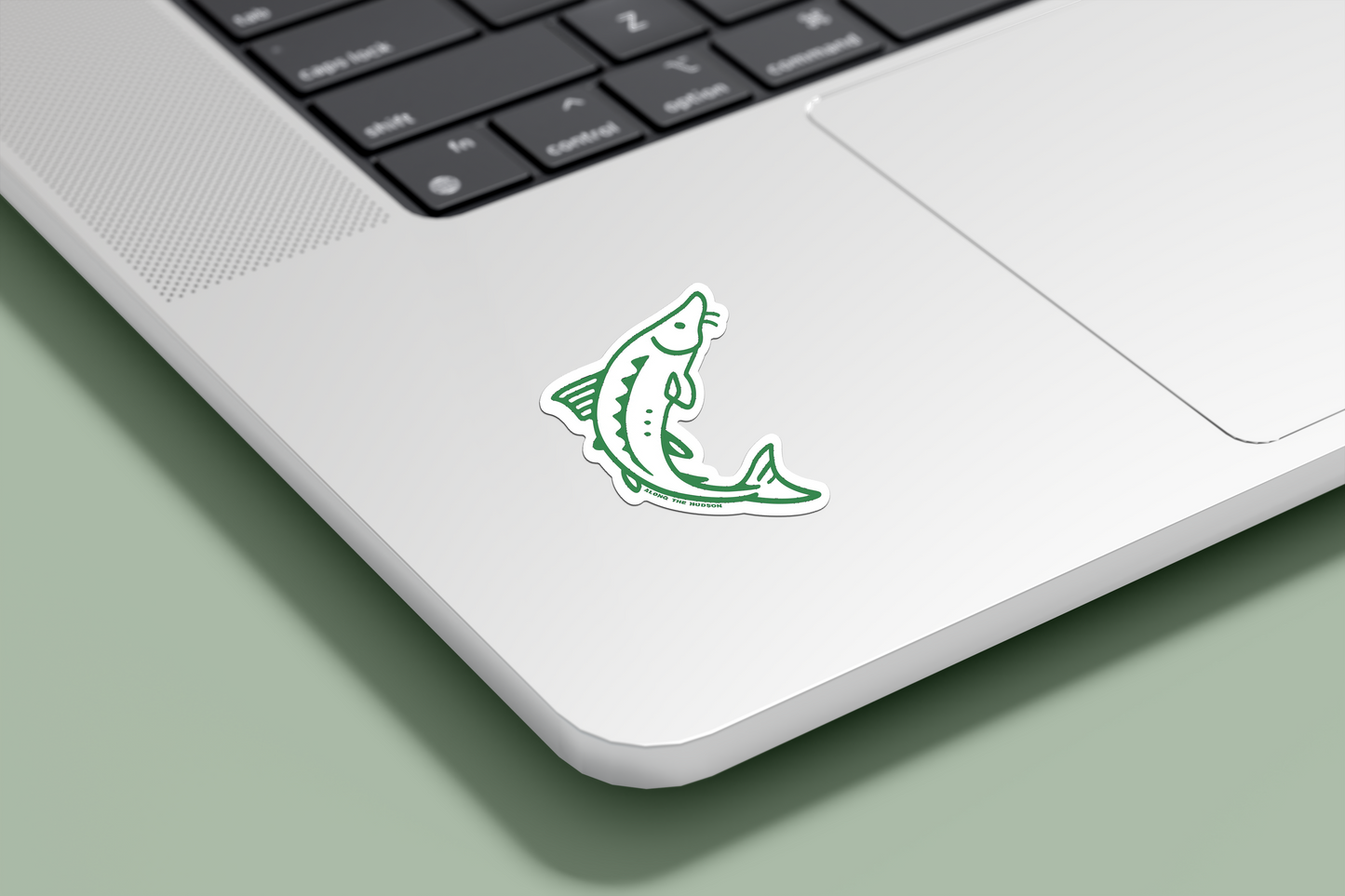 Laptop with a green sturgeon-shaped sticker on a light green background